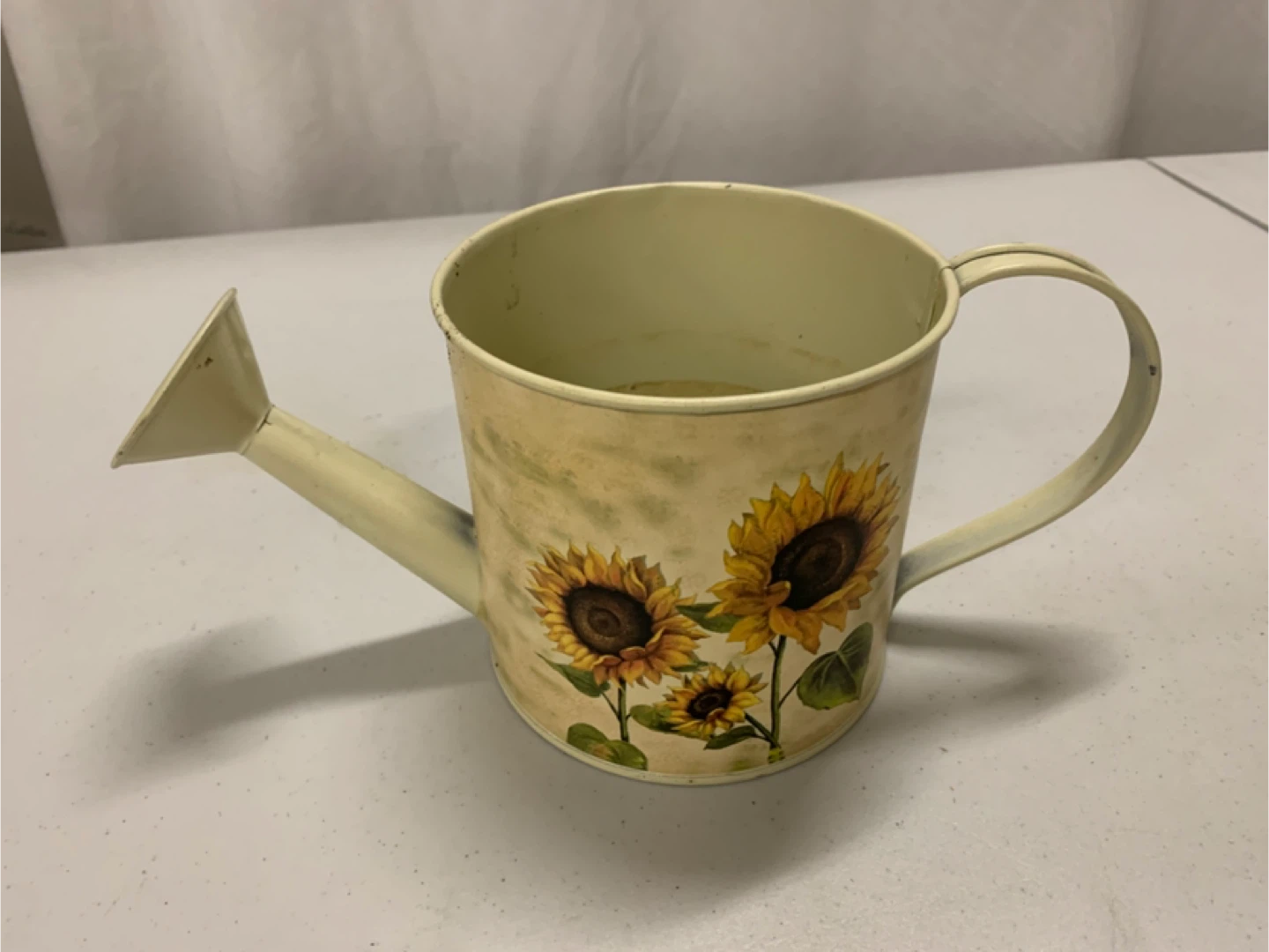 Spring Indoor Planter Bundle: 6 Ceramic Pots & Watering Can