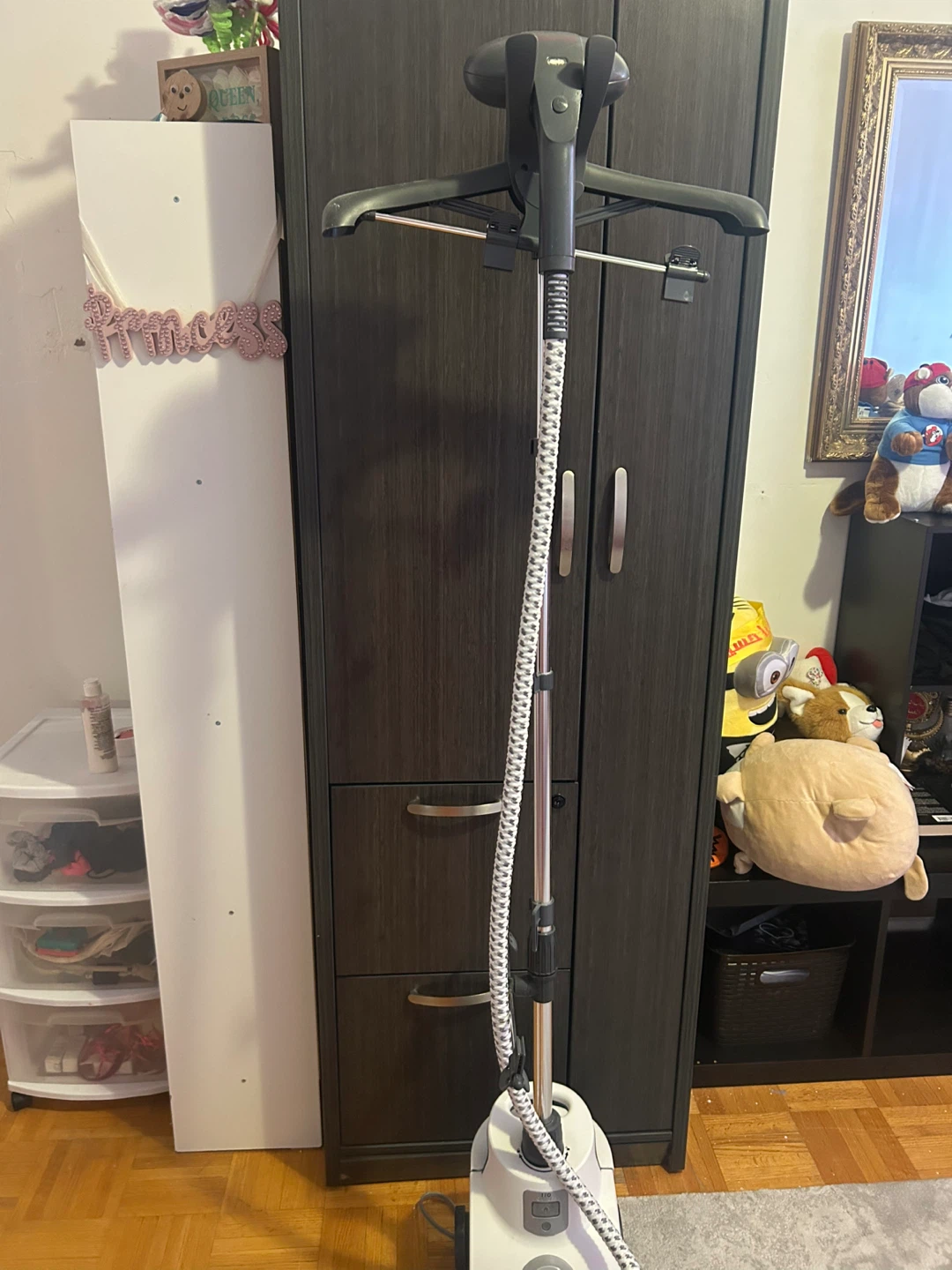 Conair Garment Steamer