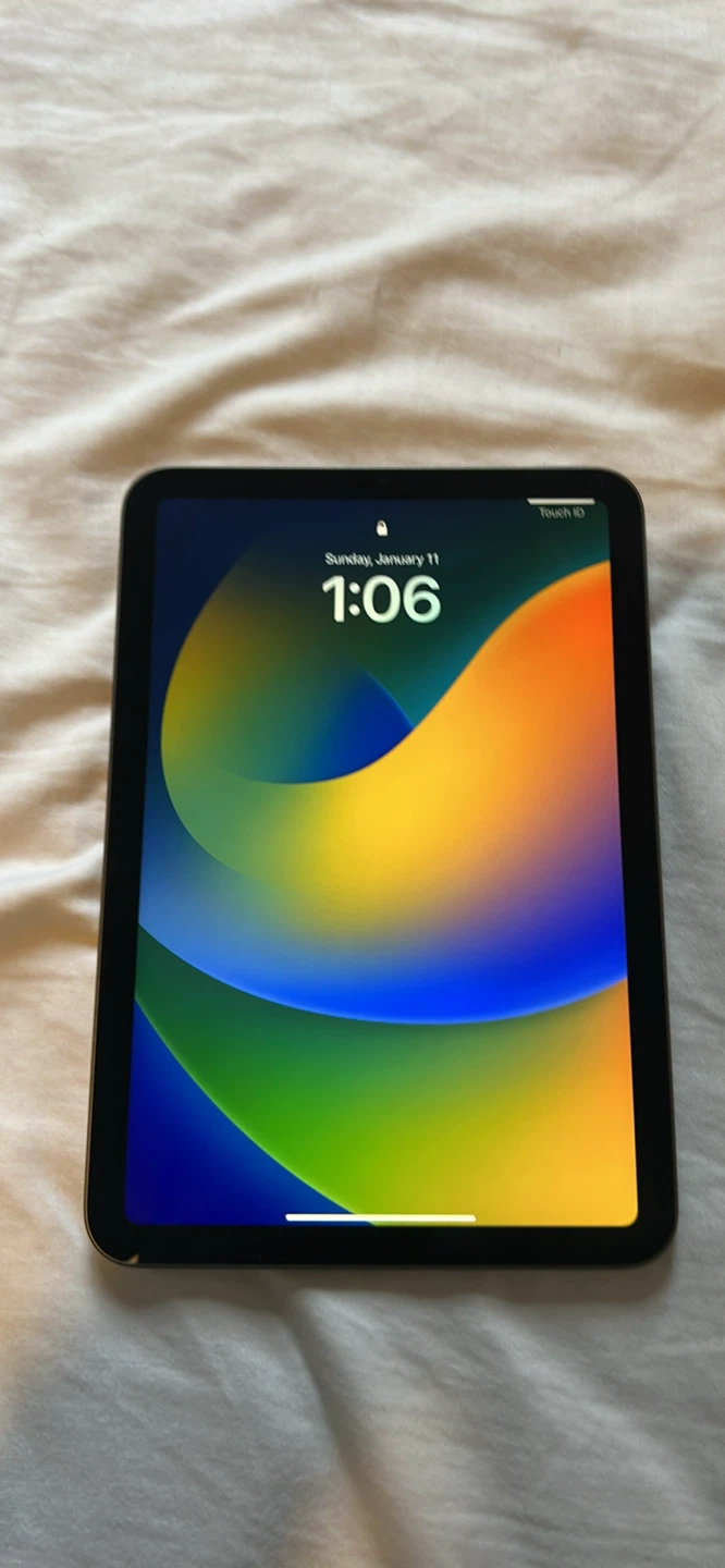 Apple iPad Mini