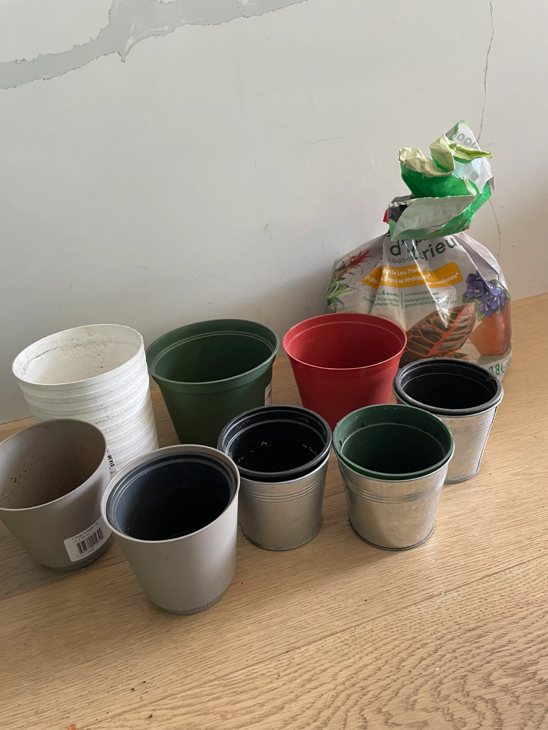 Moss and pots