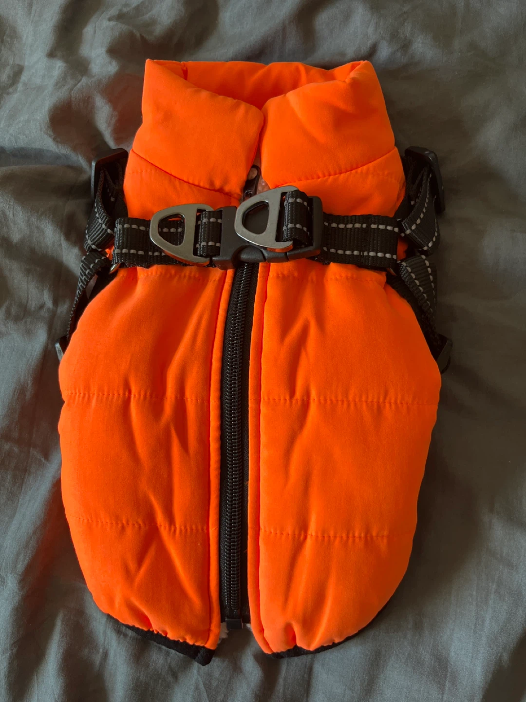 XS-Orange Padded Dog Vest
