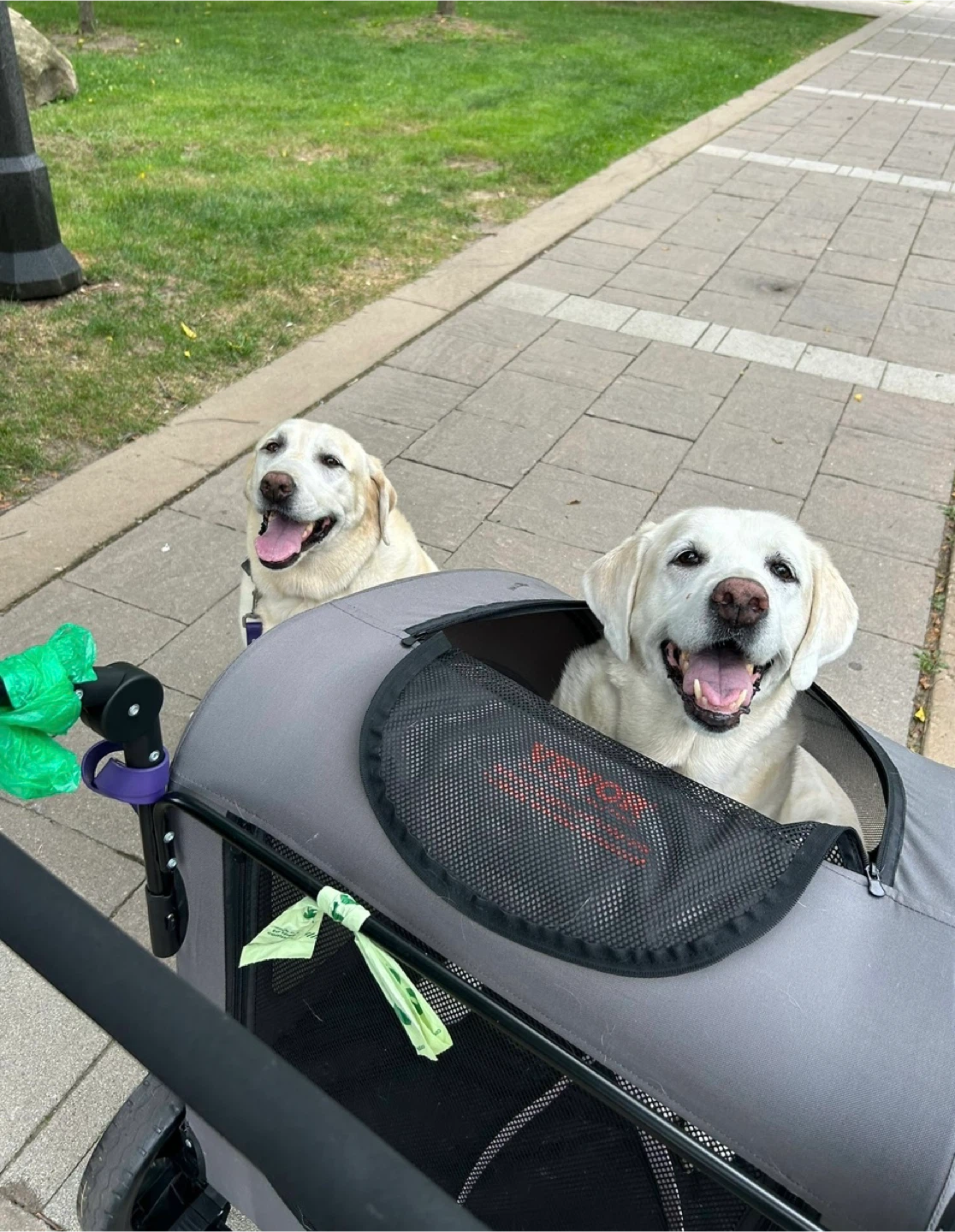 Vevor Pet Stroller