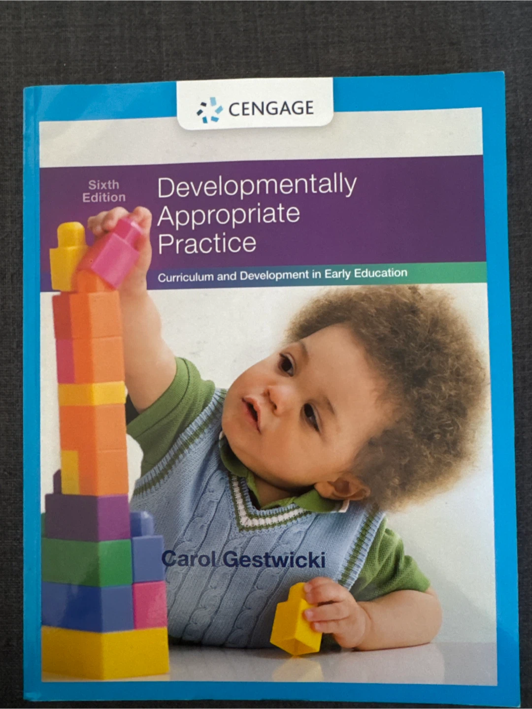Developmentally Appropriate Practice Book