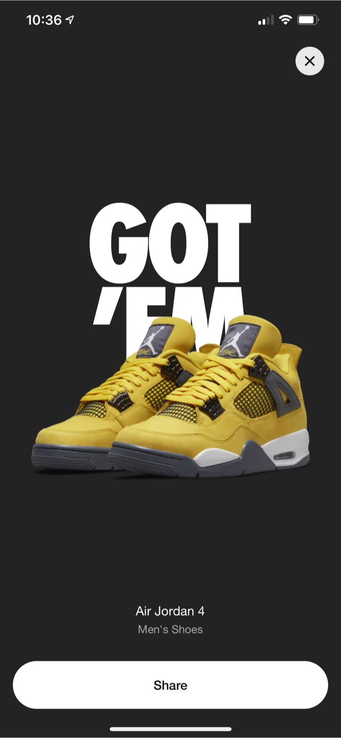 Air Jordan 4 Men's Shoes