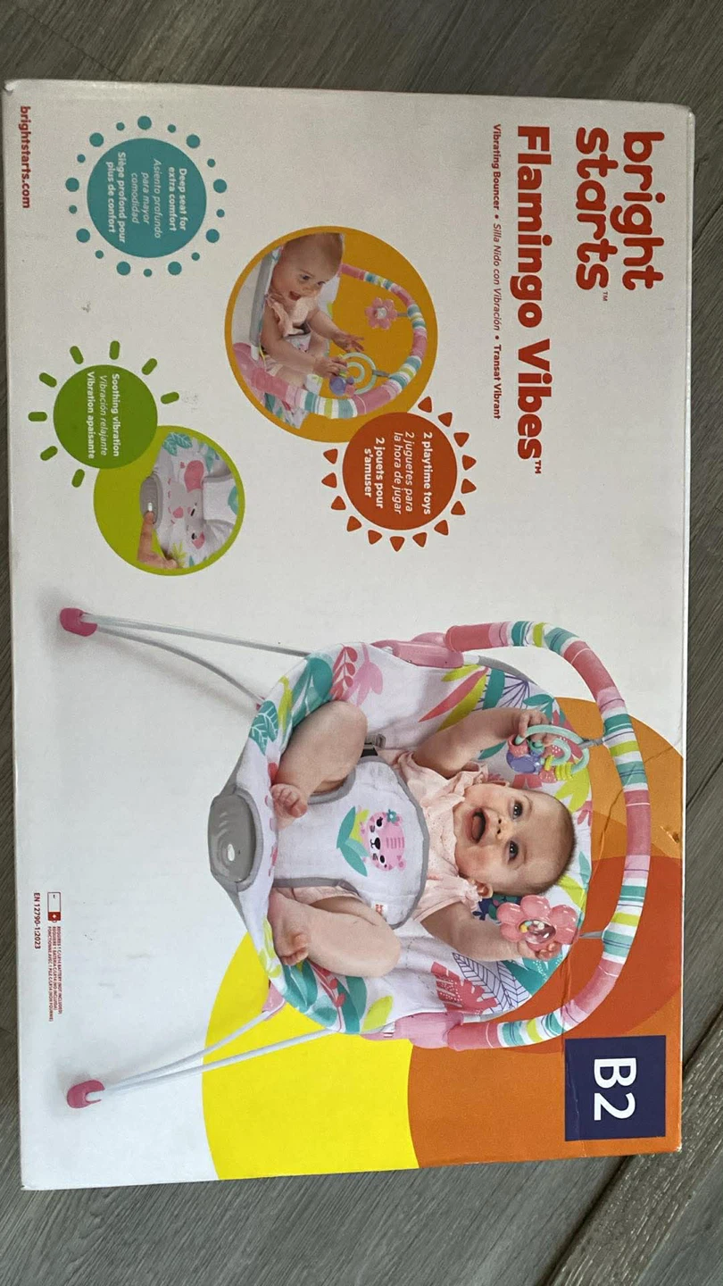 Bright Starts Flamingo Vibes Bouncer