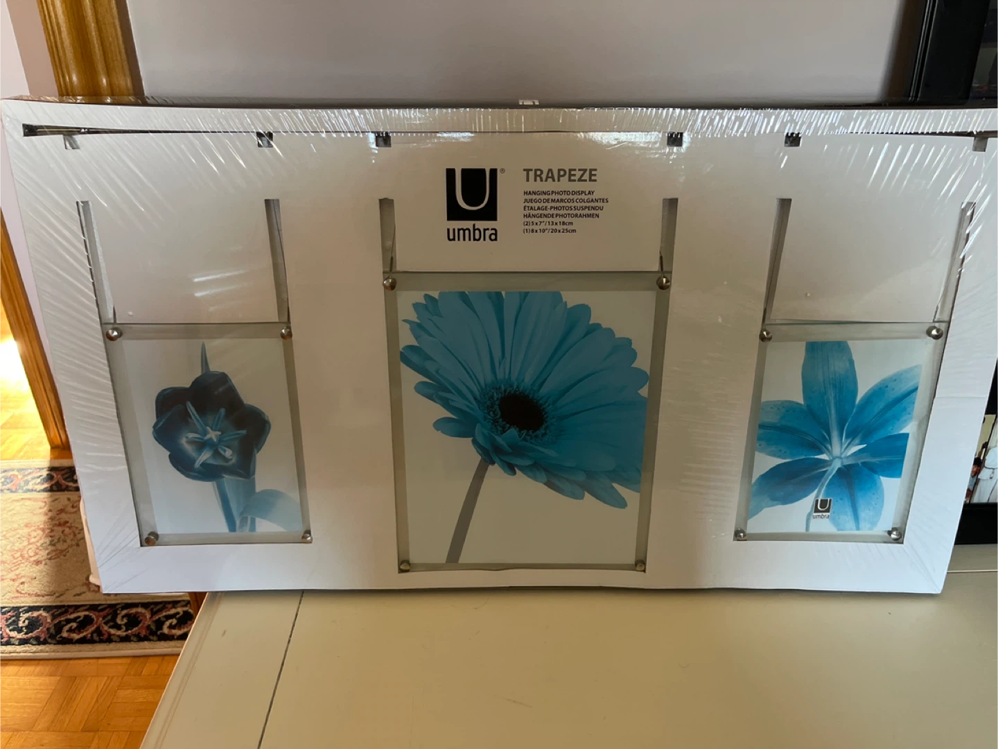 Umbra Trapeze Hanging Photo Display