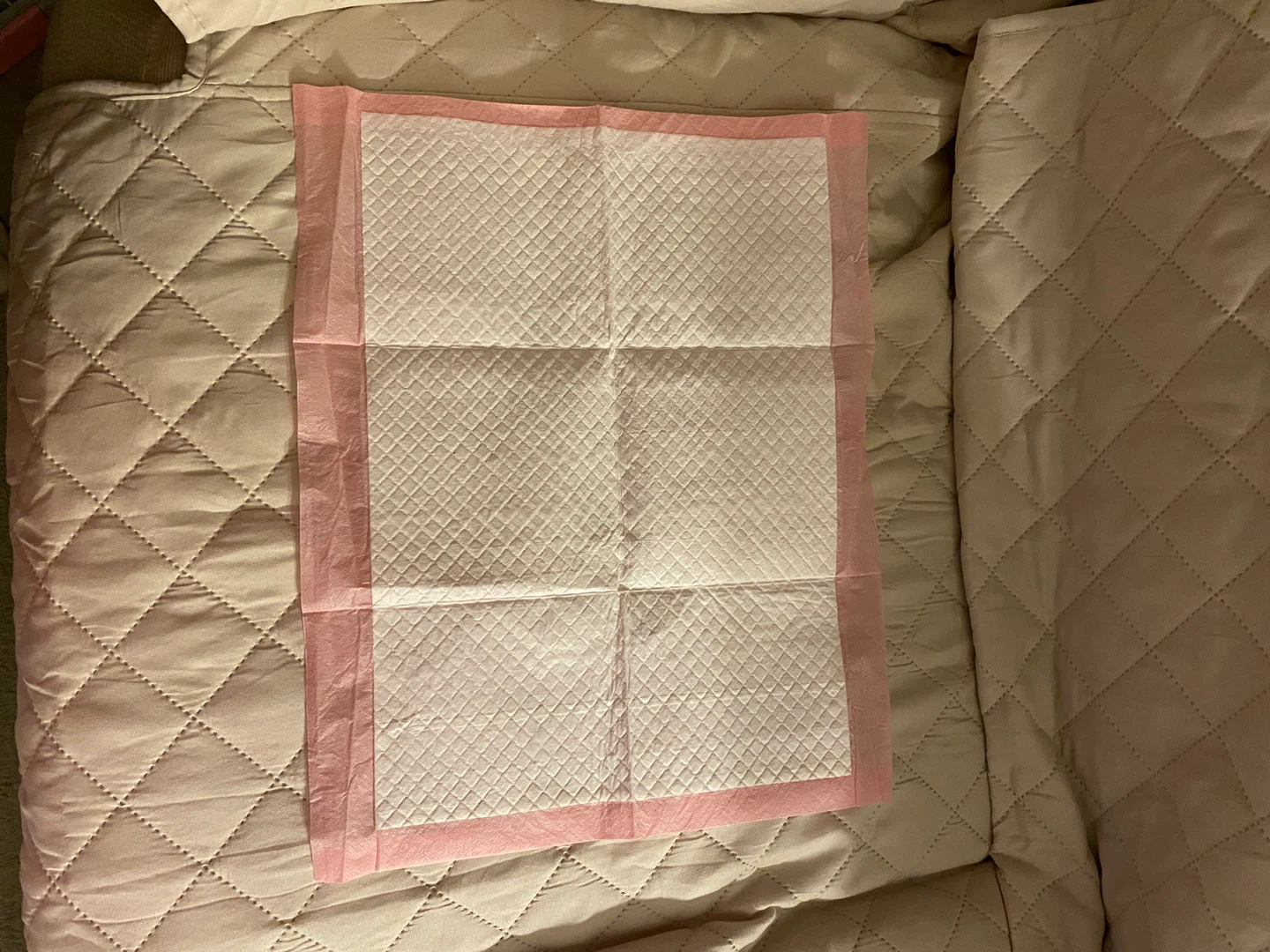 200 Pet Training Pads - photo 2