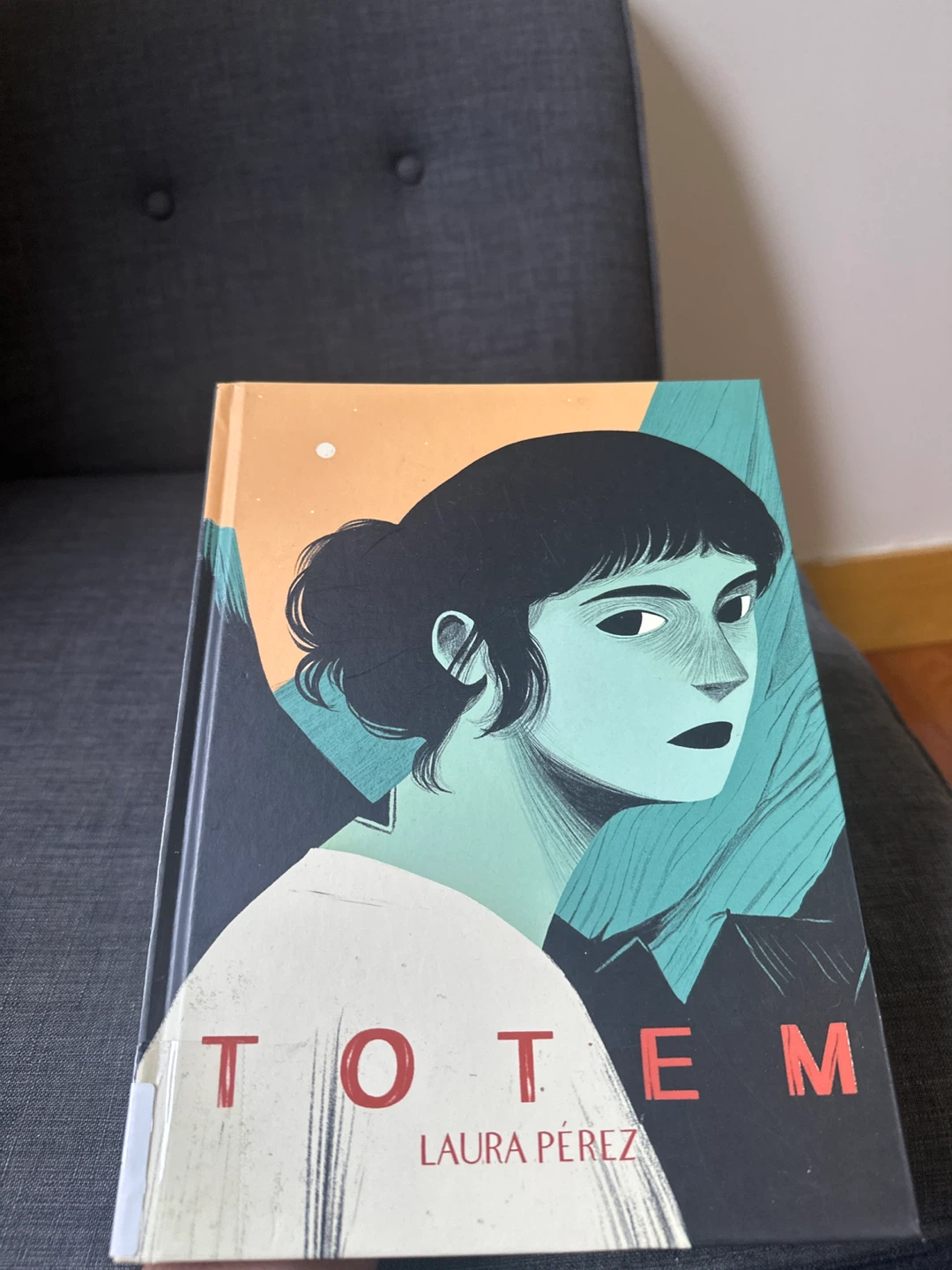 Totem Graphic Novel by Laura Pérez