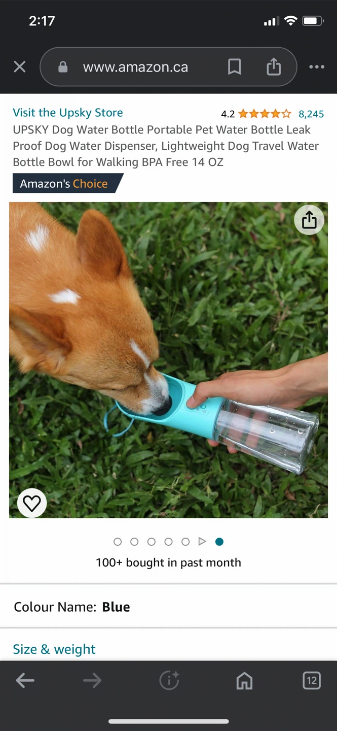 UPSKY Blue Portable Dog Water Bottle 14 OZ