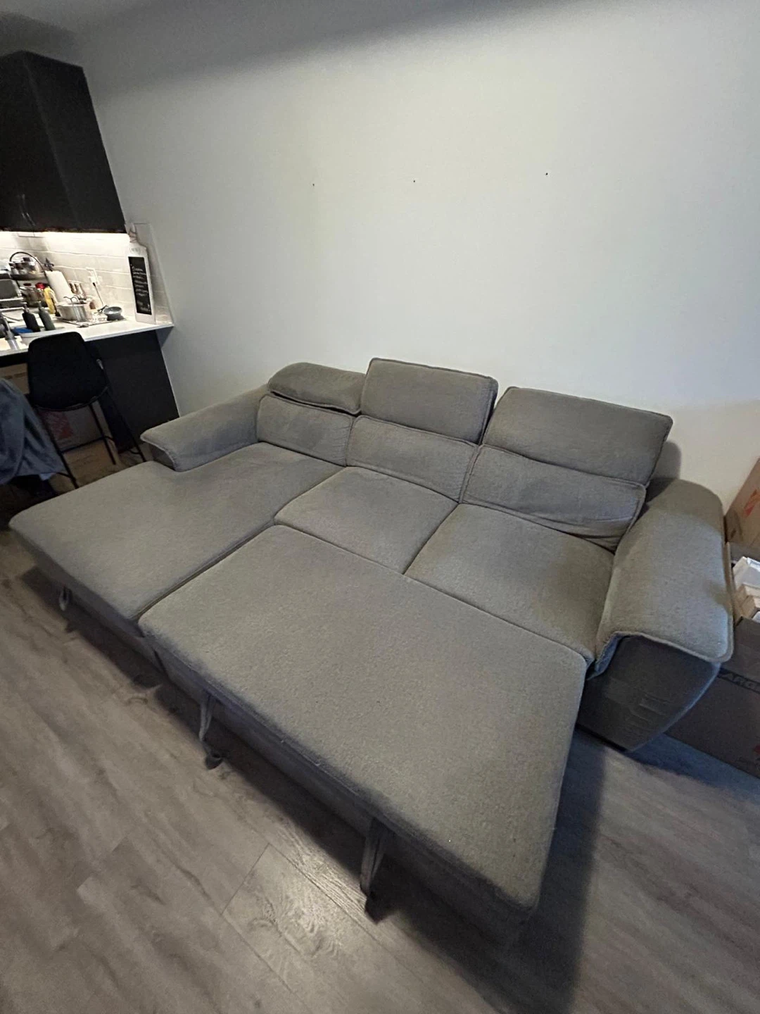 Sectional Sofa with Pull-out Bed - photo 3