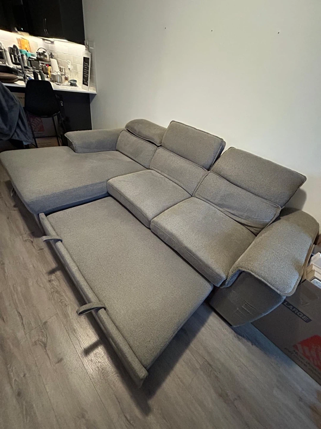 Sectional Sofa with Pull-out Bed - photo 5
