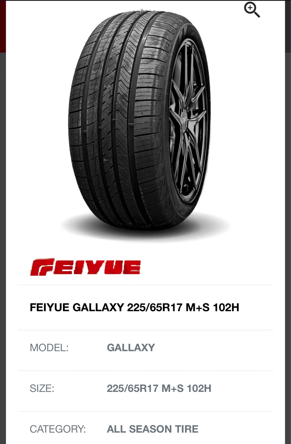 FEIYUE GALLAXY 225/65R17 M+S 102H All Season Tire
