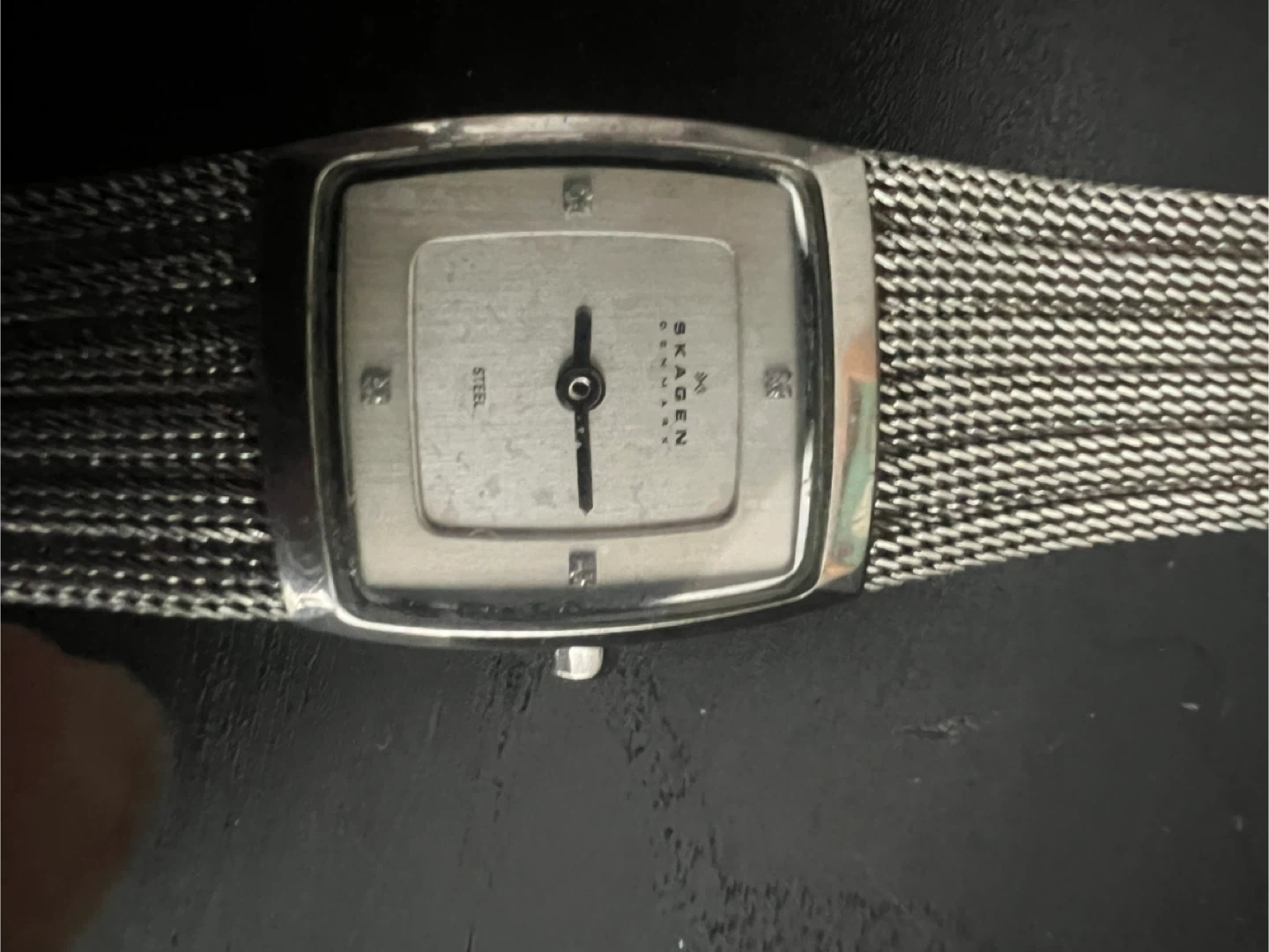 Skagen Denmark Steel Mesh Strap Watch