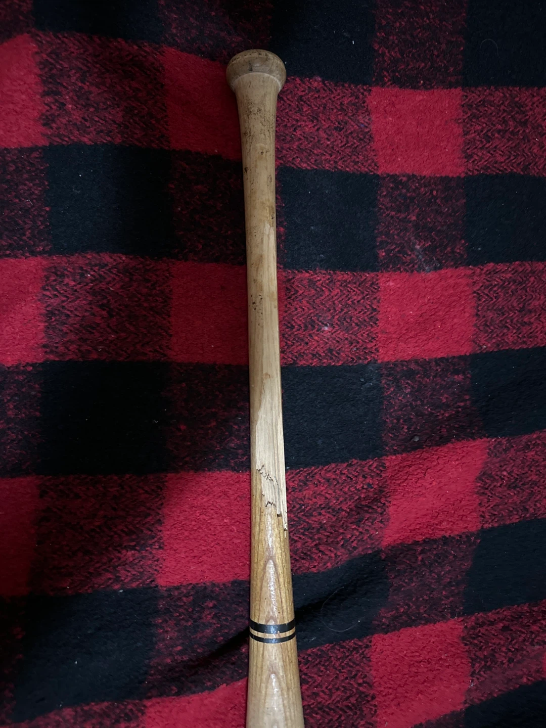Pro Stix 243 Gregg Zaun Baseball Bat Game used - photo 5