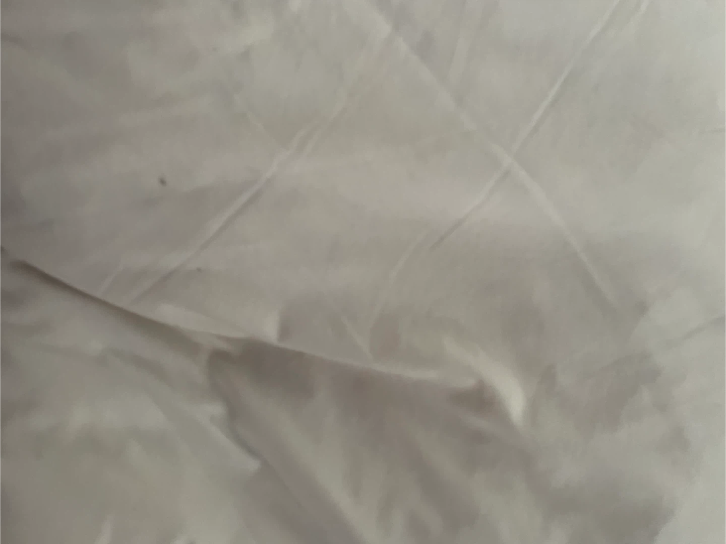 Down Feather pillow with Cream Pillow Cover - photo 3