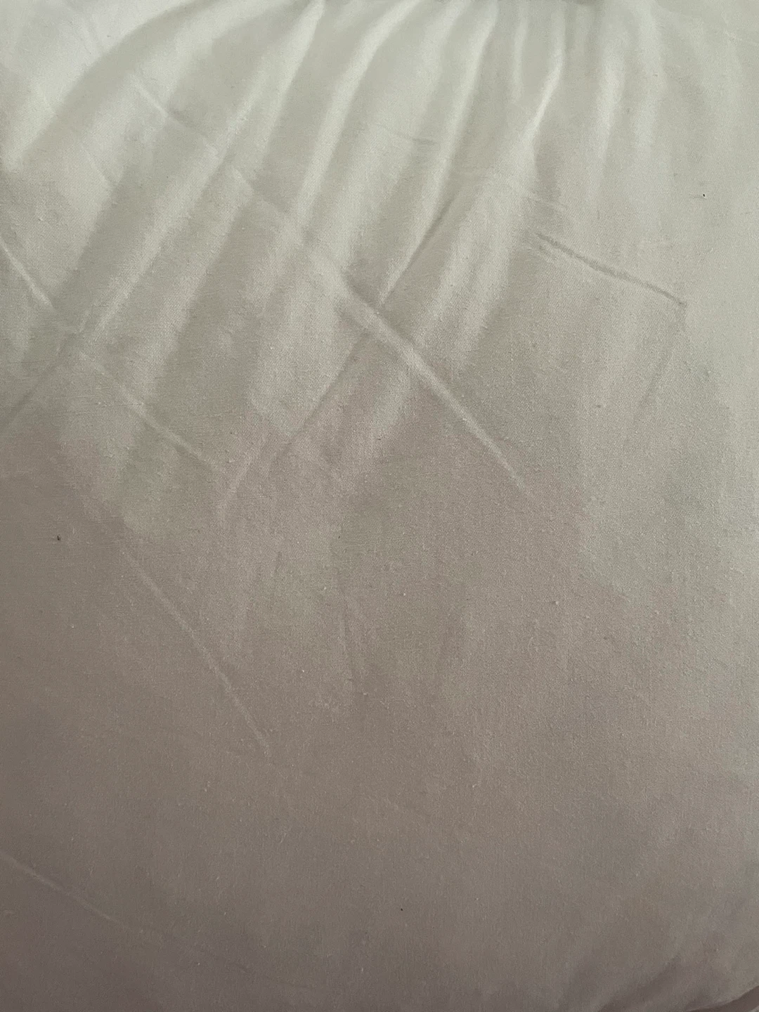 Down Feather pillow with Cream Pillow Cover - photo 2