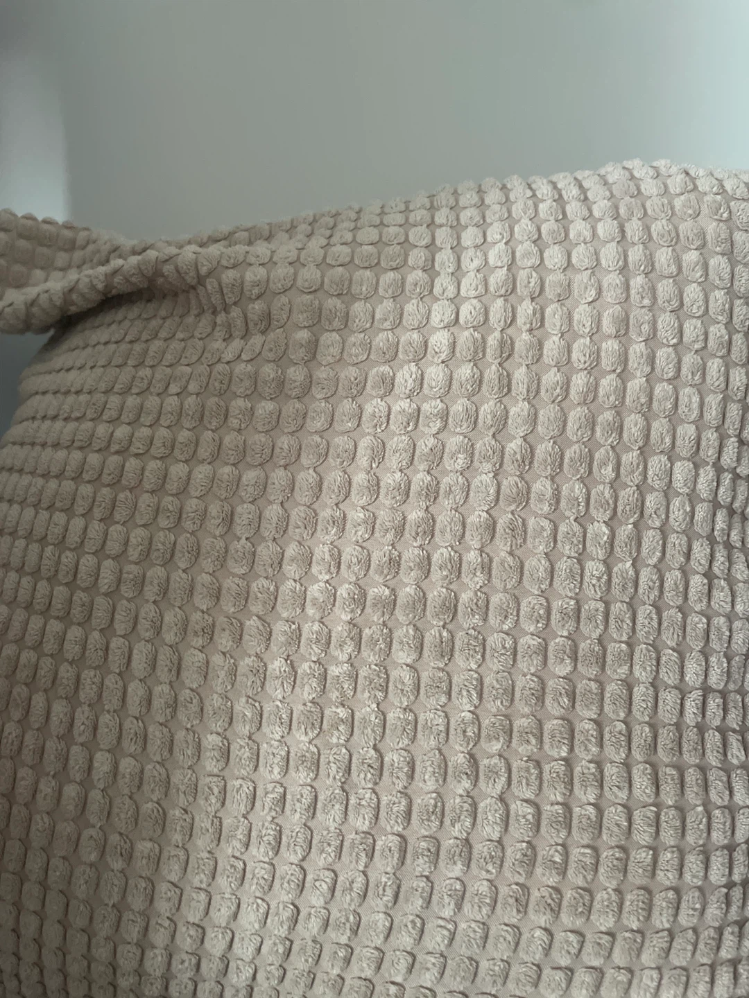 Down Feather pillow with Cream Pillow Cover