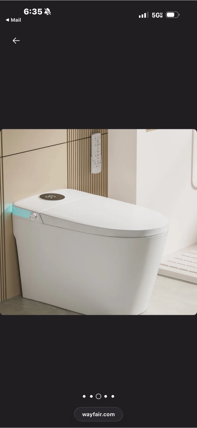 Smart Bidet Toilet Seat