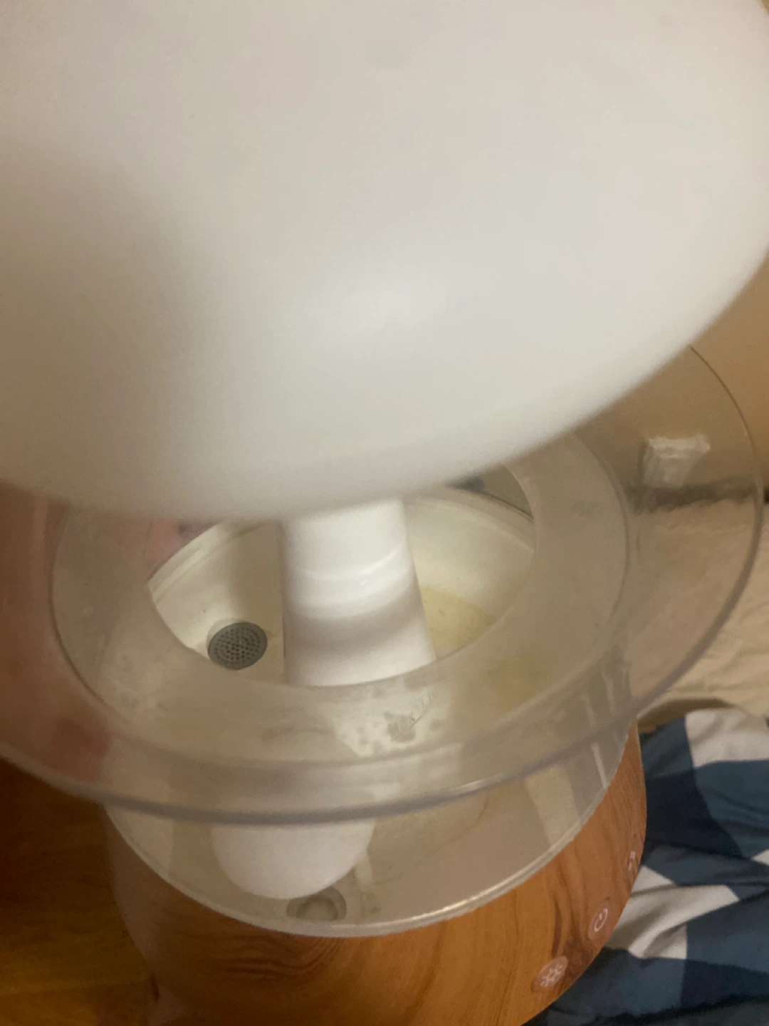 Stained Mushroom Humidifier Diffuser - photo 2