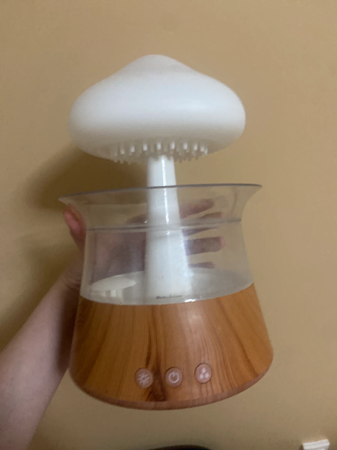 Stained Mushroom Humidifier Diffuser