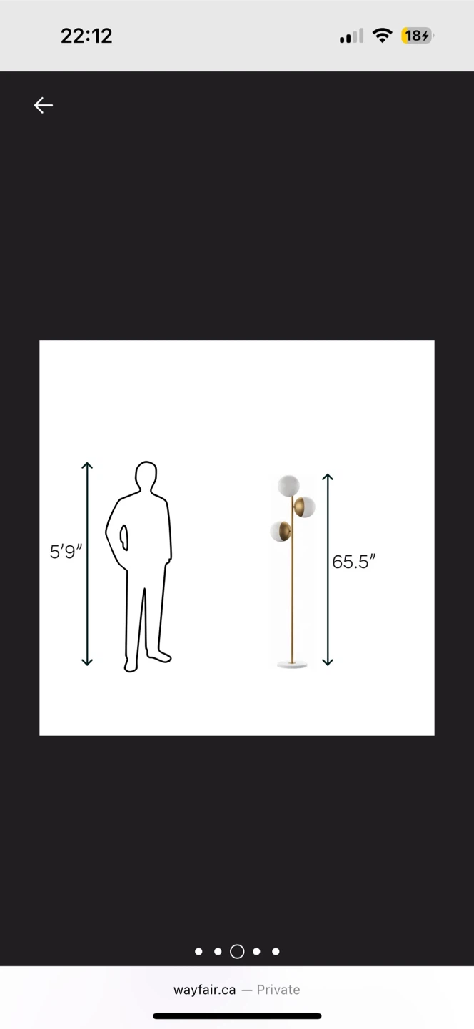 65.5" Floor Lamp - photo 3