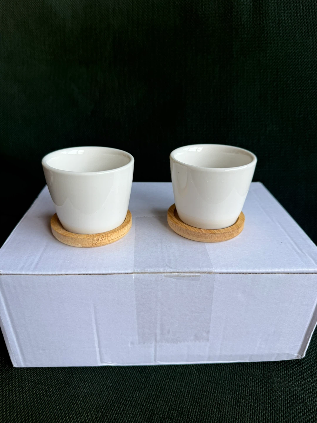 6/12pcs White Pots Ceramic Succulent Planter Flower Pot - photo 4