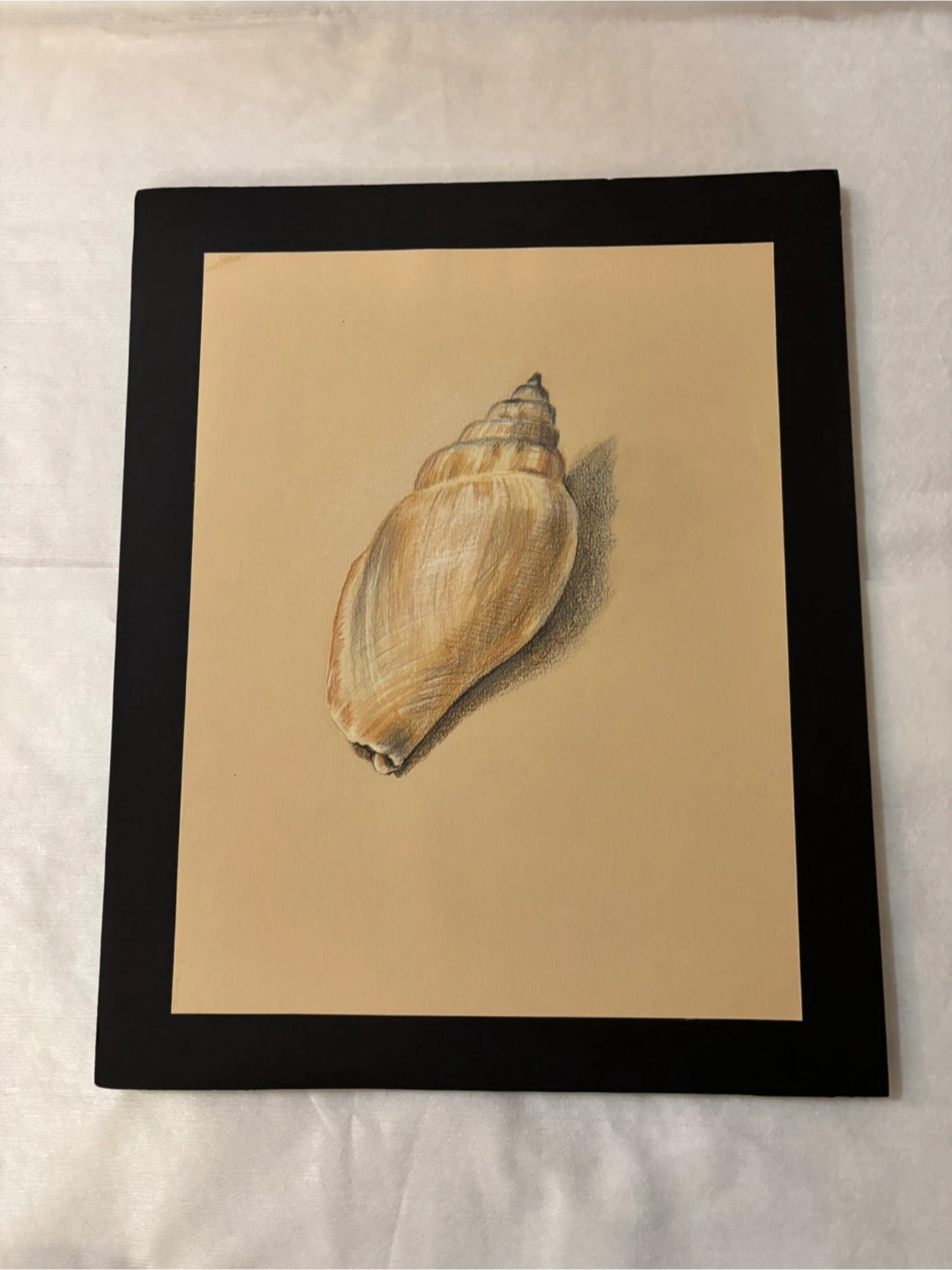 Hand drawn Seashell Art  27 cm x 33 cm
