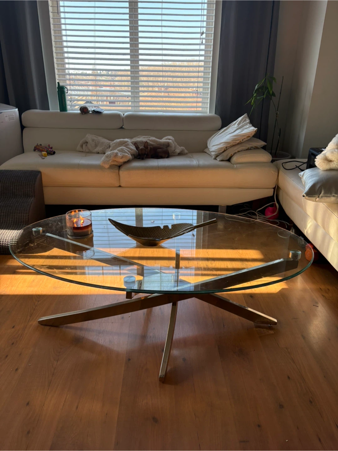 Glass Oval Coffee Table with Metal Legs