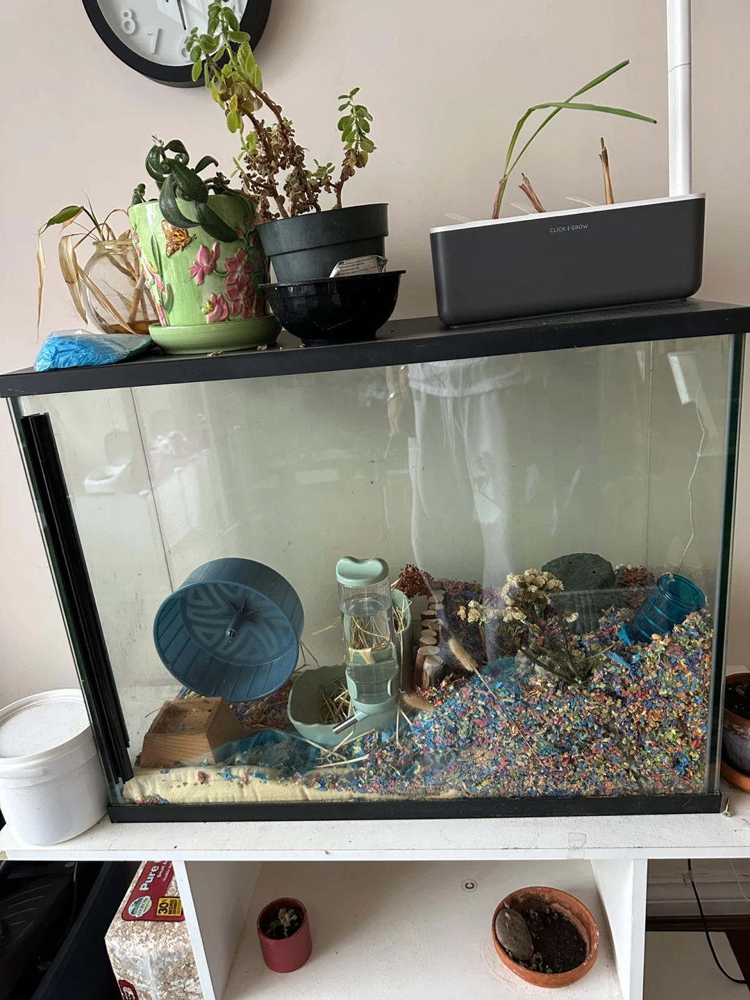Top Fin Glass Aquarium with Accessories