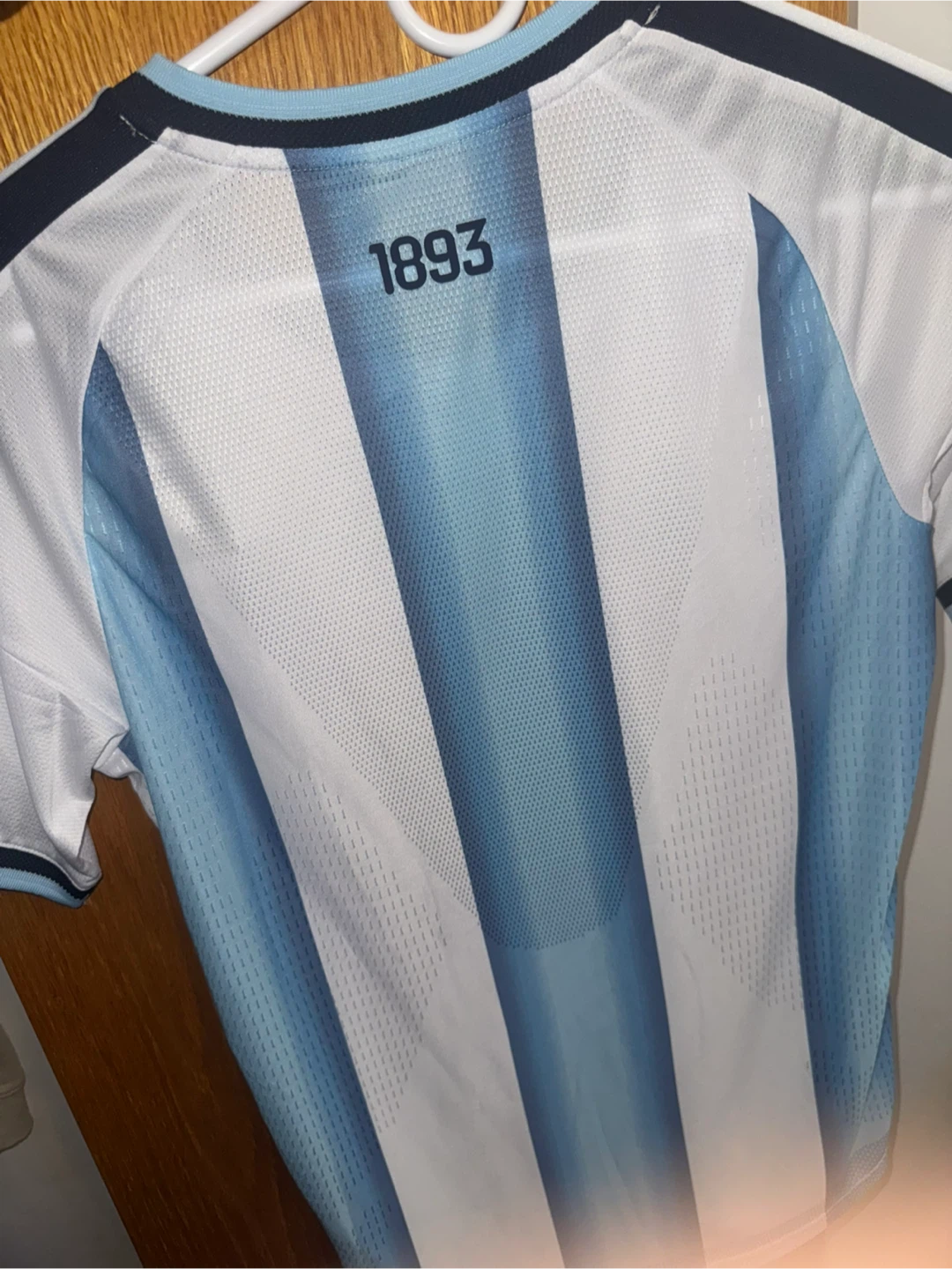Argentina FIFA World Cup 2026 jersey - photo 4