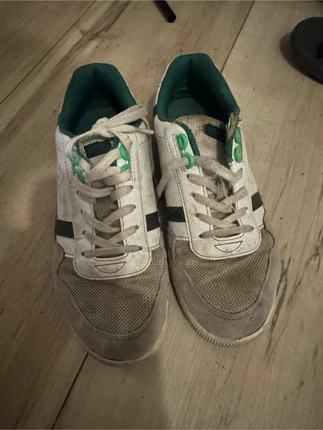Lacoste Men's Sneakers