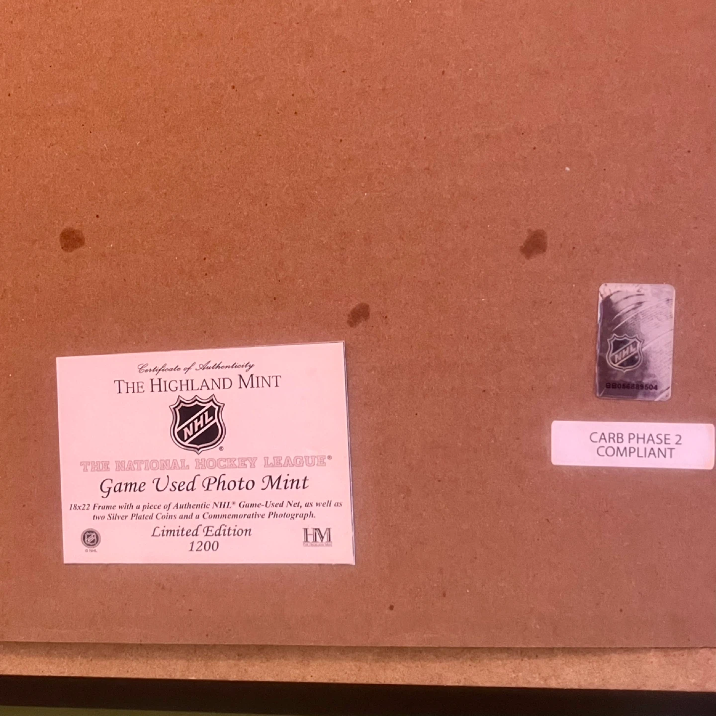 NHL Framed Game Net - photo 4