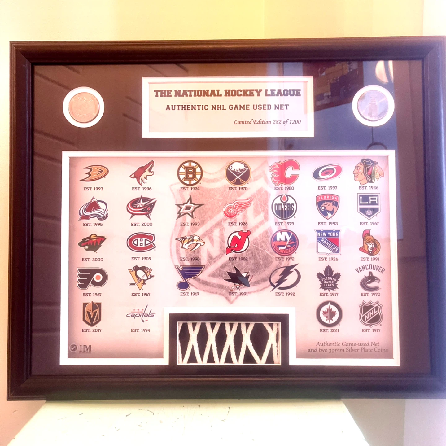 NHL Framed Game Net