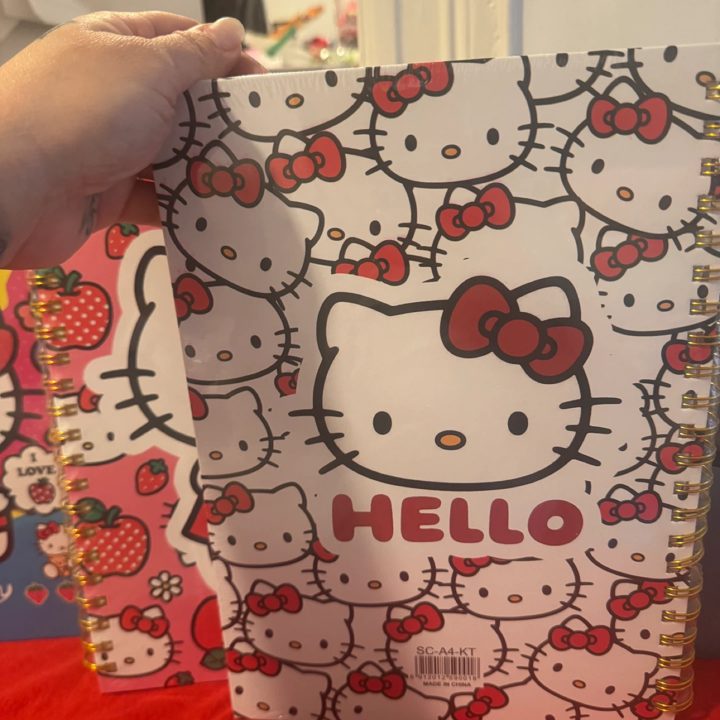 Hello Kitty Spiral Notebook