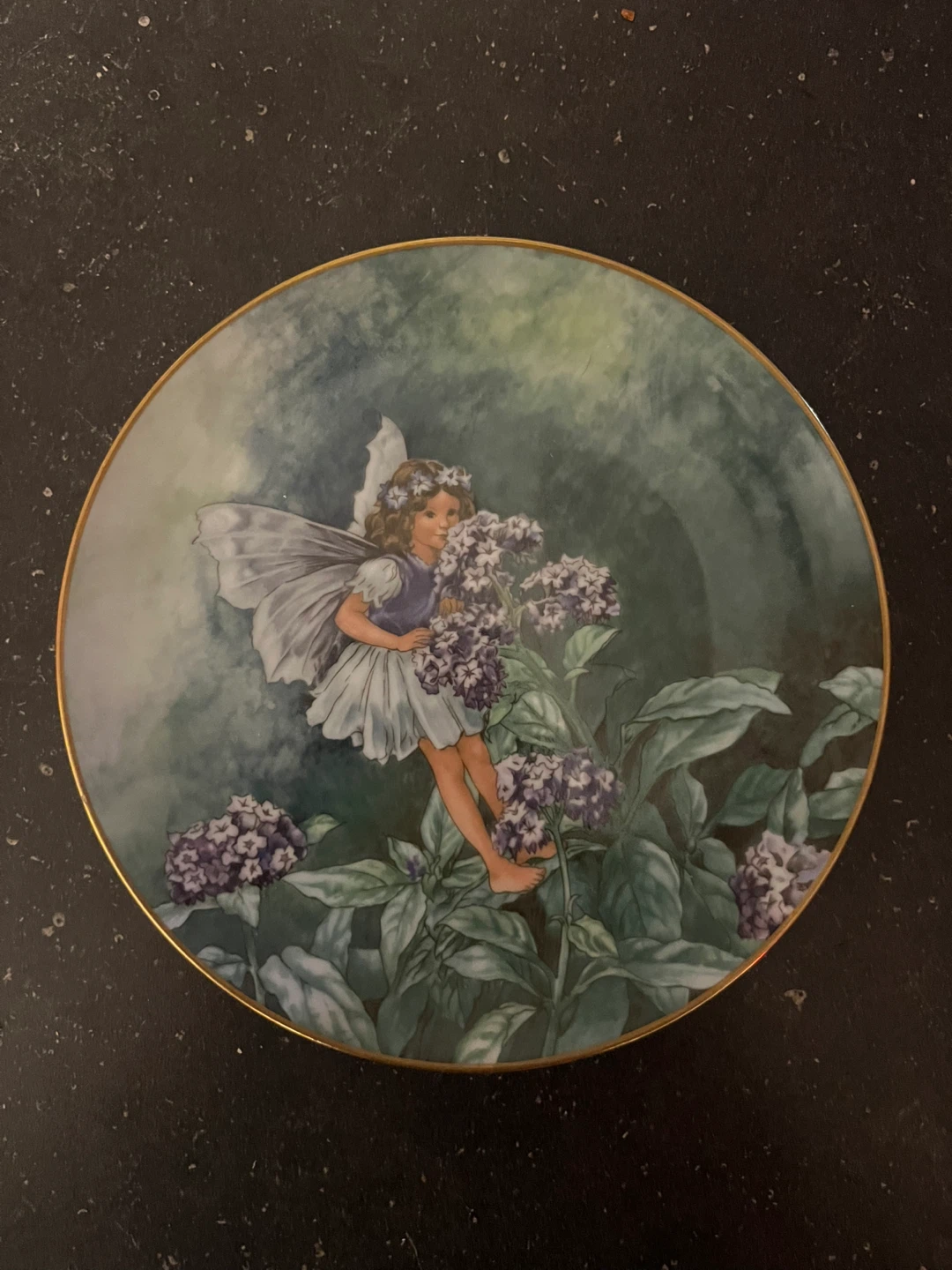 Rare Vintage Plates - photo 2