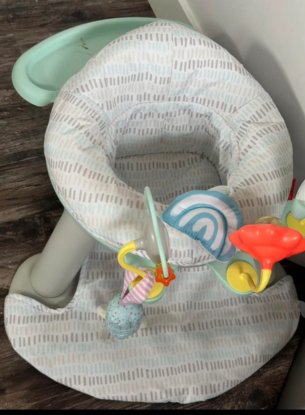 Skip Hop Baby Activity Seat