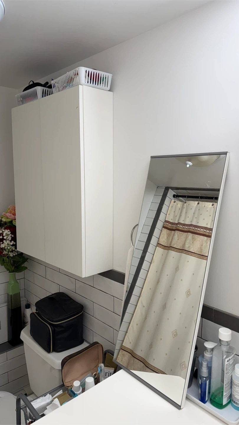 IKEA LETTAN Mirror Cabinet with Doors - photo 4