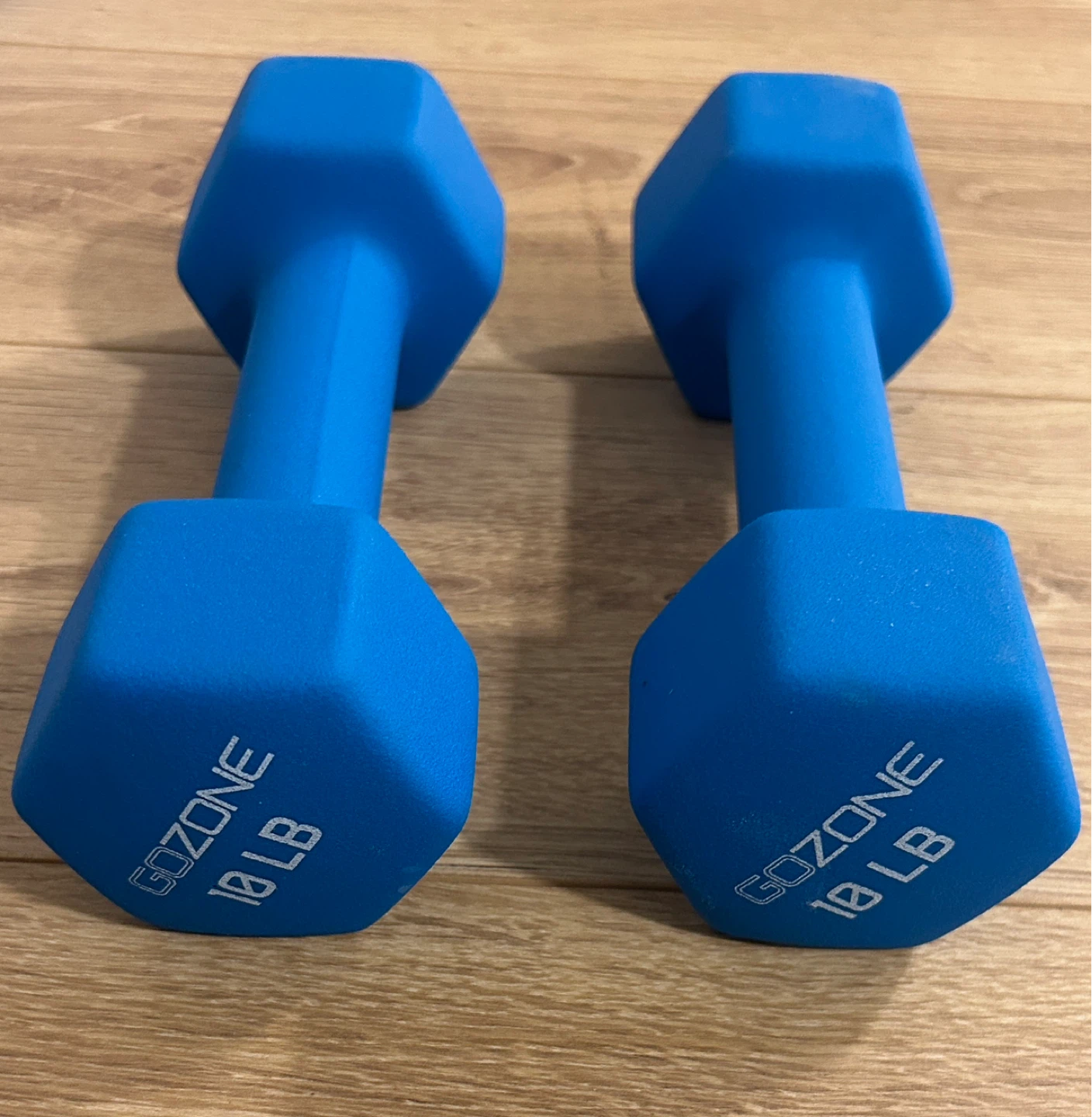 GOZONE 10 LB Dumbbells - Set of 2