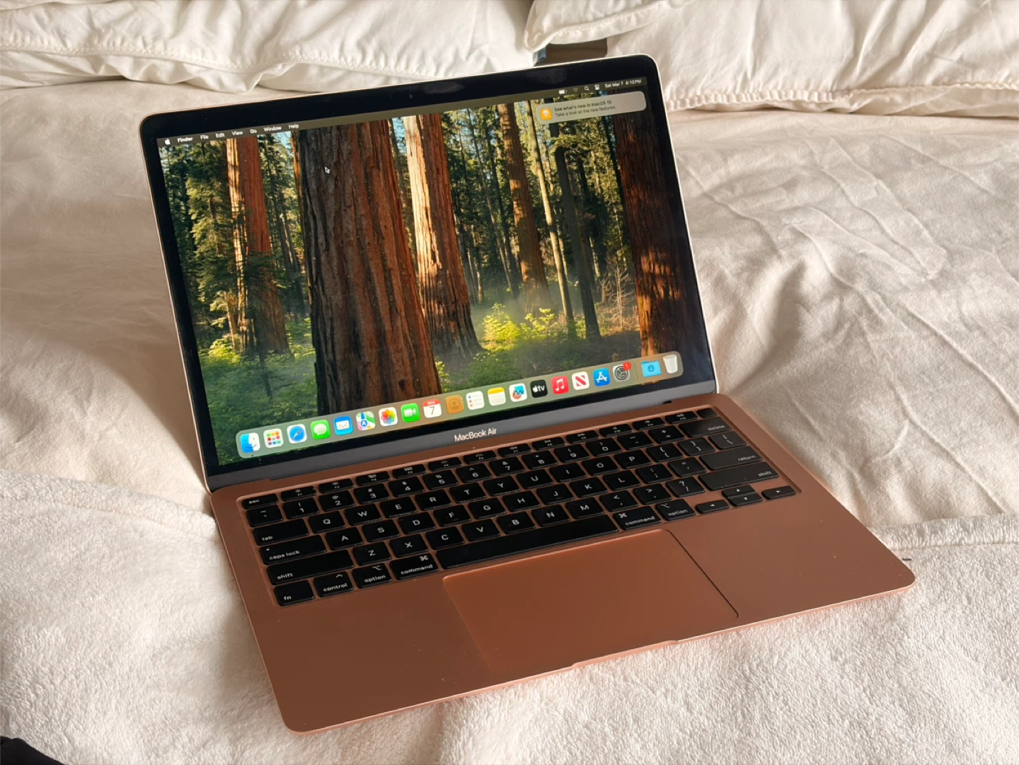 Apple MacBook Air Gold (Retina, 13-inch, 2020)