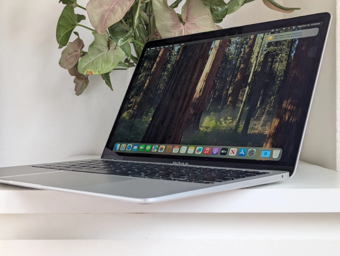 Apple MacBook Air Silver (Retina, 13-inch, 2020) - photo 3