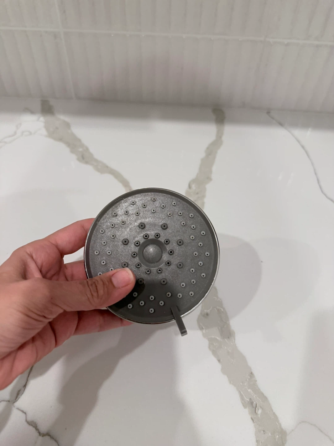 Chrome Shower Head