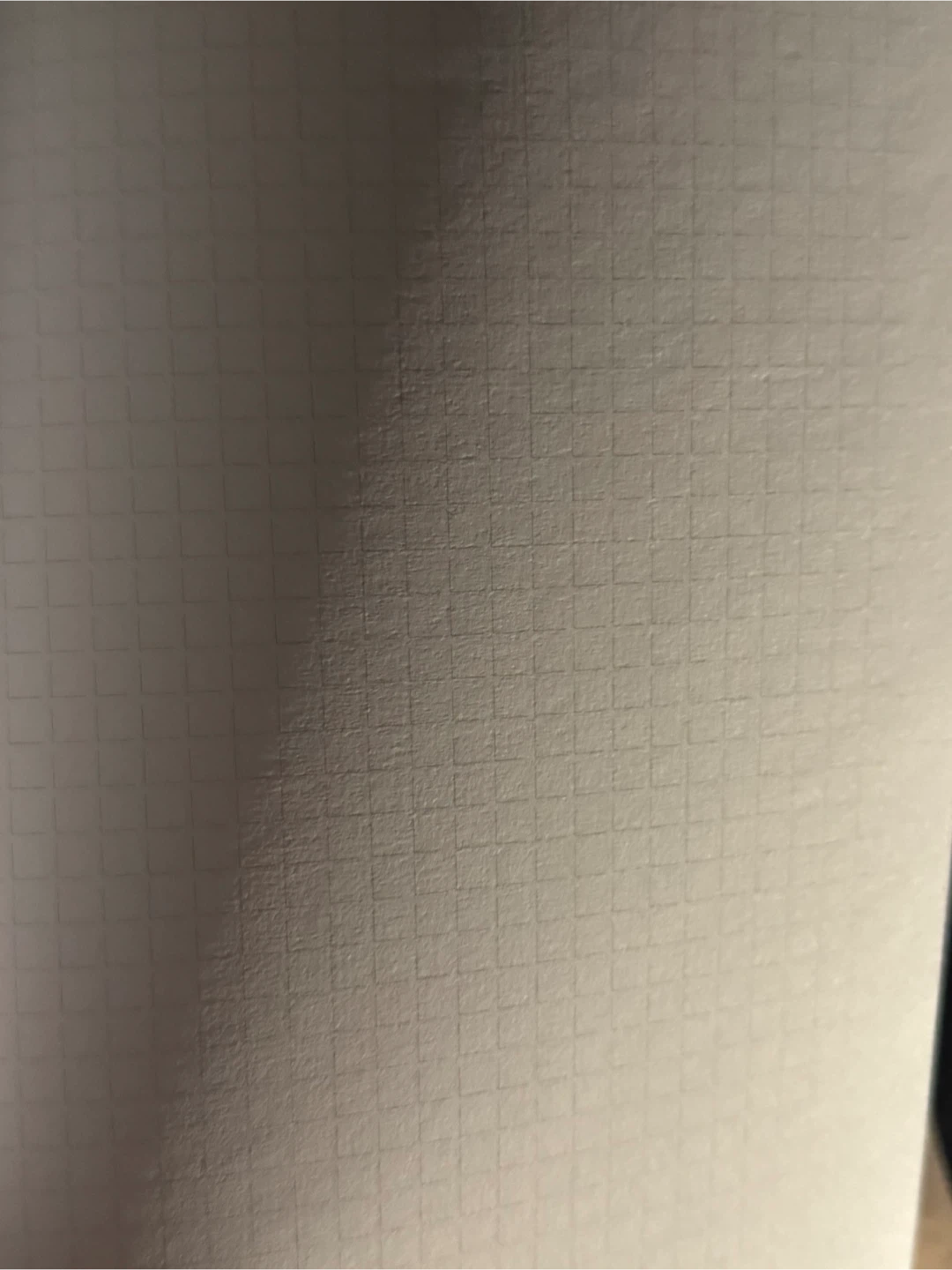 Capybara Journal with Grid Pages - photo 3