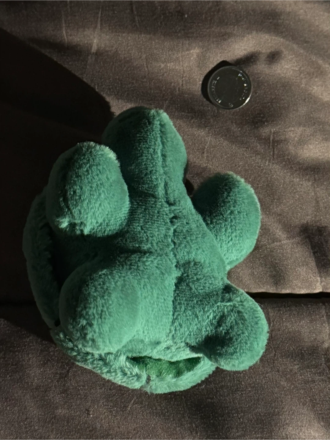 Green Turtle Plush Toy - photo 3