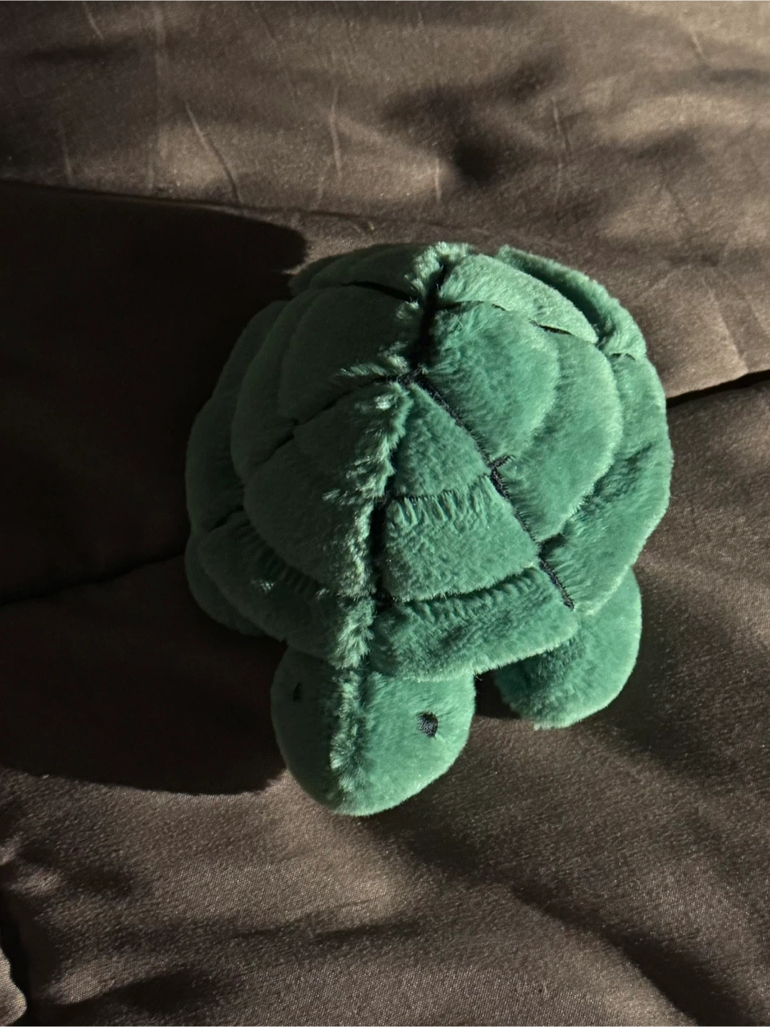 Green Turtle Plush Toy