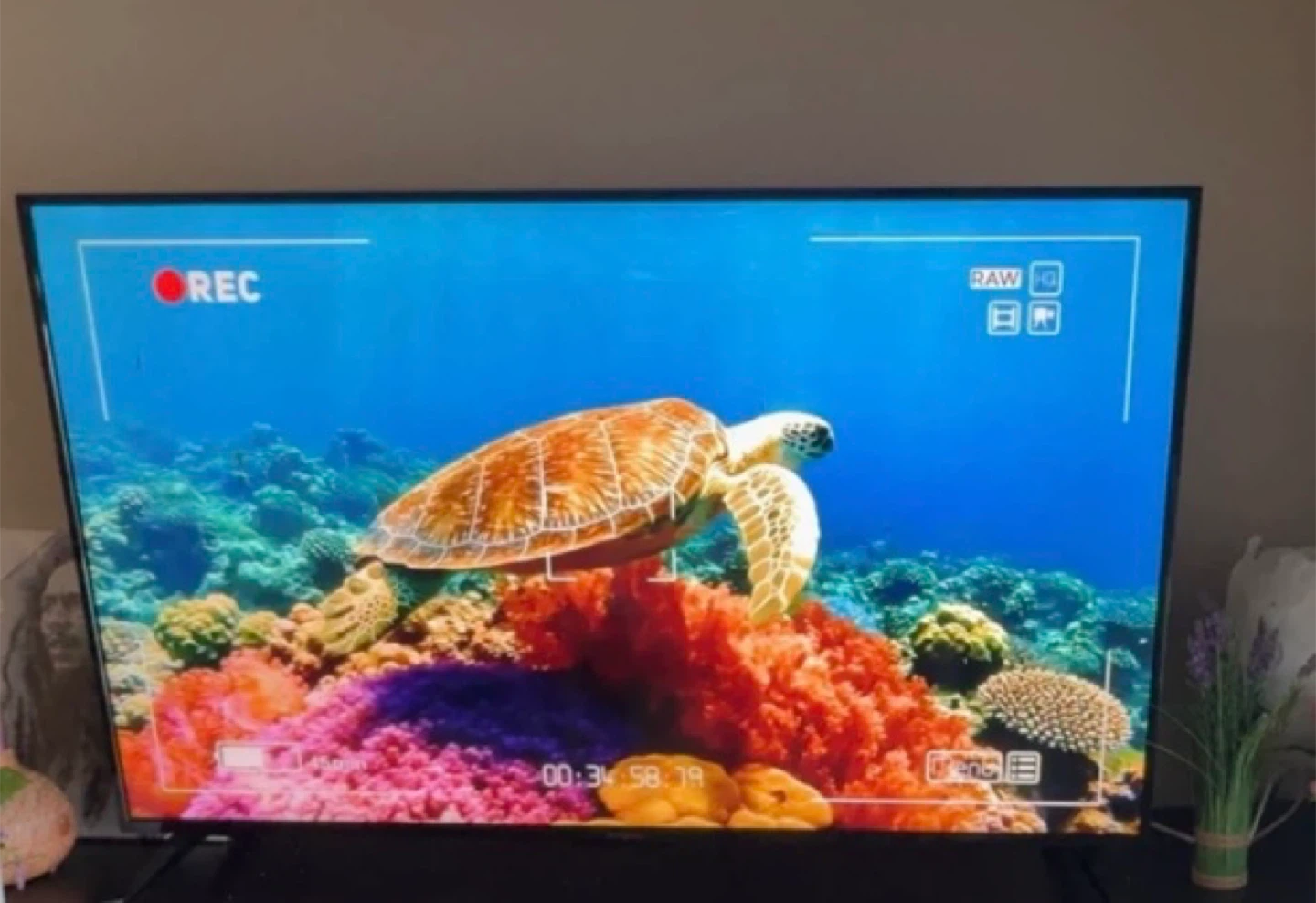 55 inches Smart Westinghouse TV - photo 2