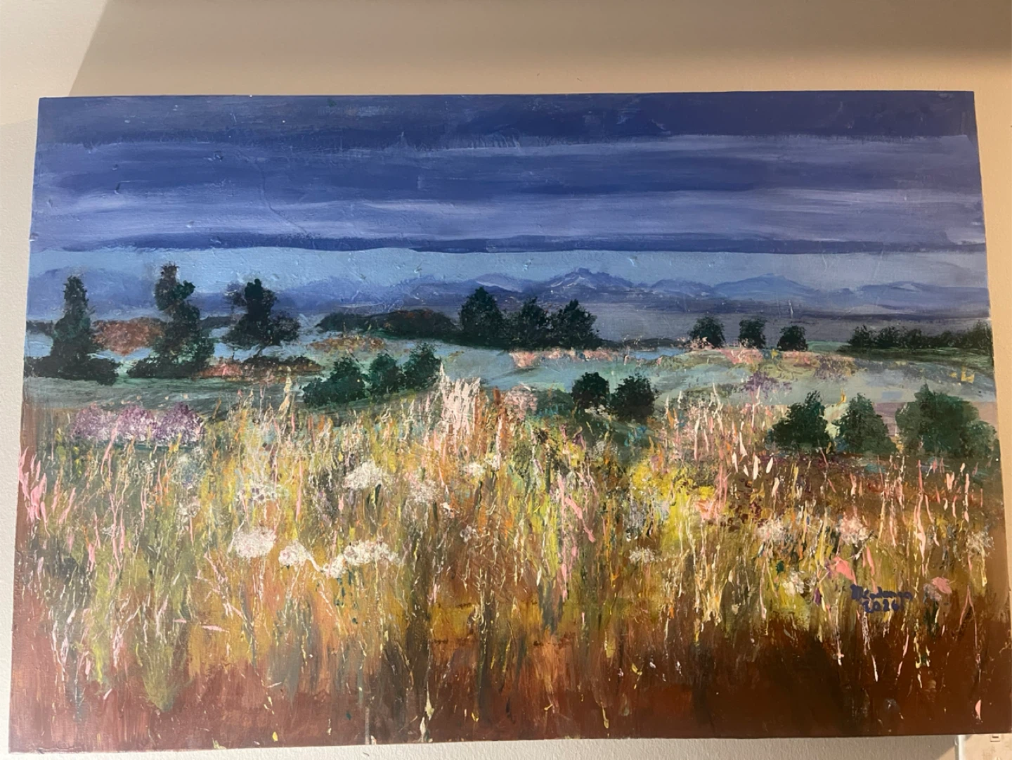 Big canvas hand painted