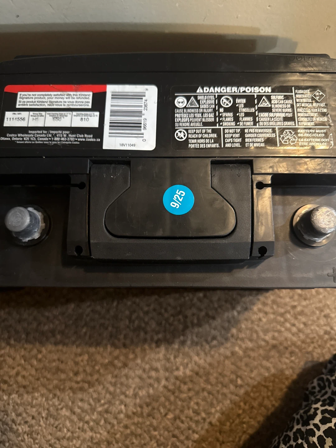 Kirkland Signature H5 Automotive Battery - photo 3
