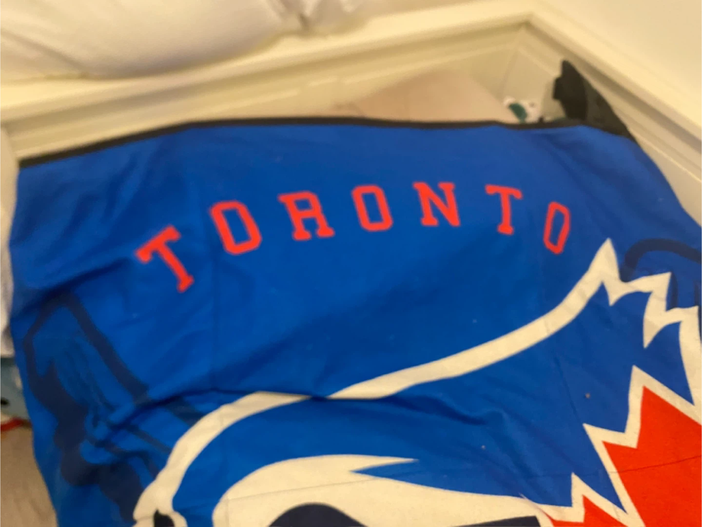 Toronto Blue Jays Comforter - photo 2