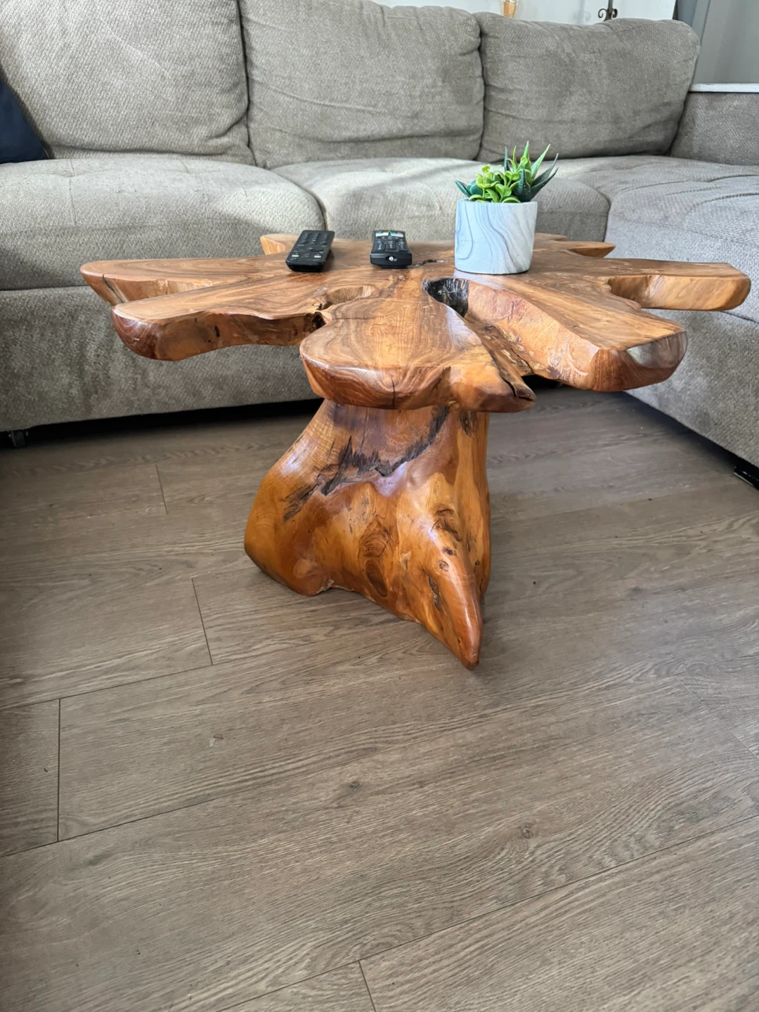 Live Edge Wood Coffee Table