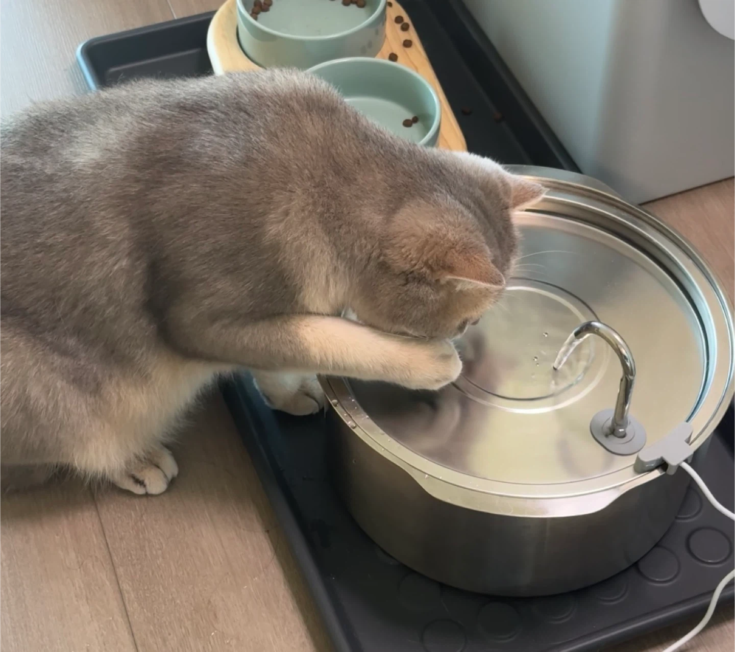 7L Stainless Steel Dog Water Fountain - photo 2
